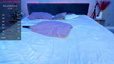 Erica online show from January 2025 12:29:01 AM