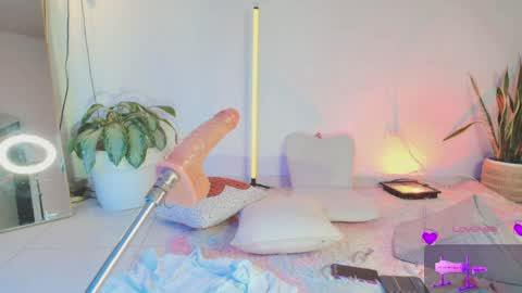 TINY  online show from March 2026 08:26:33 AM