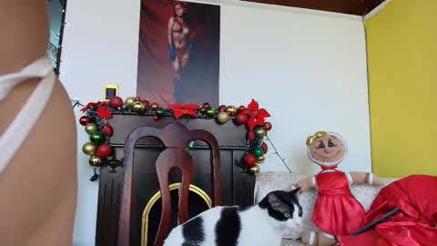 Snapshot of esmerald_1111 chatting on December 2025 03:51:02 PM Esmeralda online show from December 2025 03:51:02 PM