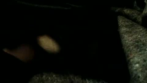 estelarseiya online show from January 2025 03:18:02 AM