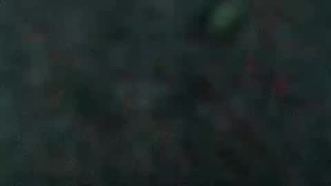 estelarseiya online show from February 2025 07:07:02 AM