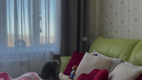 Estella online show from February 2026 06:22:01 AM