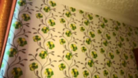 Evvie online show from March 2026 08:37:02 AM