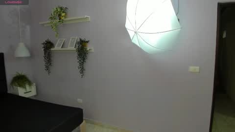 evahalston online show from March 2025 05:00:02 AM