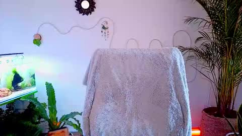 Im Eve or Chelle Next Stream 191224  online show from May 2026 04:56:02 PM