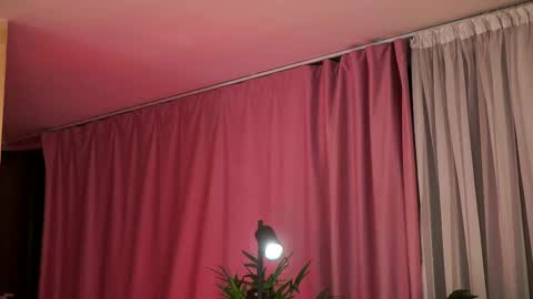 Evelyn online show from February 2025 07:09:01 PM