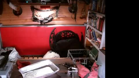 EvPierce online show from April 2026 07:13:01 AM