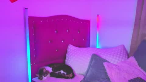 EVY online show from September 2025 01:21:01 AM