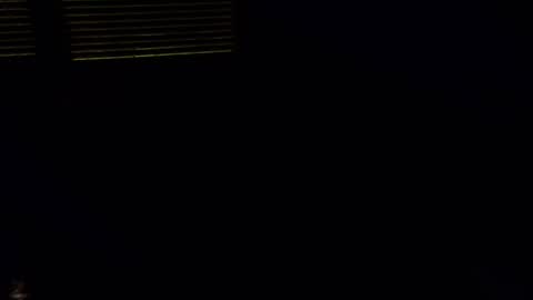 exhibitman69_ldb online show from October 2025 05:09:02 AM