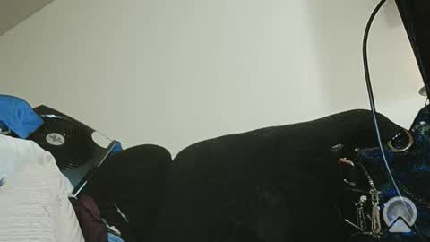 Exoticlexxii online show from February 2026 07:27:02 AM