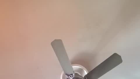 Exoticlexxii online show from April 2026 01:01:01 PM