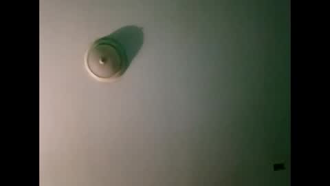 Snapshot of experttreecompany chatting on March 2026 10:31:02 AM experttreecompany online show from March 2026 10:31:02 AM