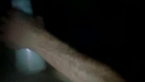 Snapshot of experttreecompany chatting on March 2026 12:32:01 PM experttreecompany online show from March 2026 12:32:01 PM