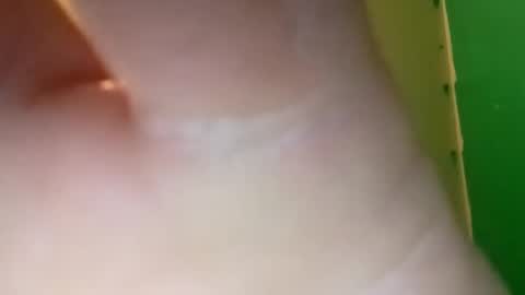 Snapshot of experttreecompany chatting on April 2026 04:55:02 PM experttreecompany online show from April 2026 04:55:02 PM