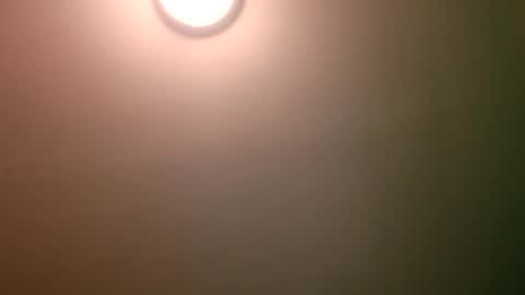 Snapshot of experttreecompany chatting on April 2026 04:17:01 AM experttreecompany online show from April 2026 04:17:01 AM