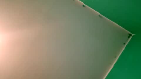 Snapshot of experttreecompany chatting on April 2026 10:26:02 PM experttreecompany online show from April 2026 10:26:02 PM