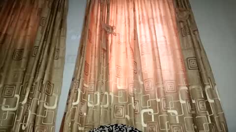 Snapshot of extra_pound chatting on April 2026 07:45:01 AM Nina online show from April 2026 07:45:01 AM