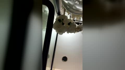 fabiolacal11 online show from February 2026 05:52:01 AM