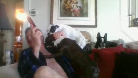 fairmount31 online show from March 2025 02:15:02 PM