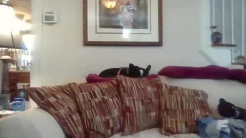 fairmount31 online show from November 2025 04:51:01 PM