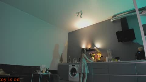 Snapshot of fairy_casey chatting on December 2024 11:13:01 PM fairy_casey online show from December 2024 11:13:01 PM