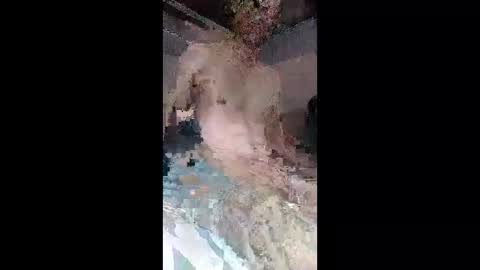 faloshows online show from June 2026 01:39:01 AM