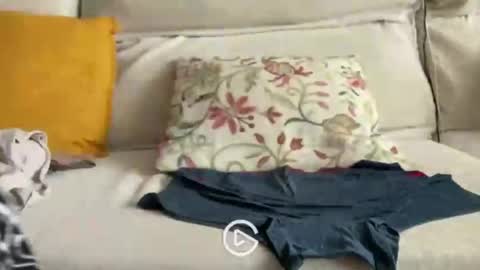 falupy online show from April 2026 03:36:01 PM