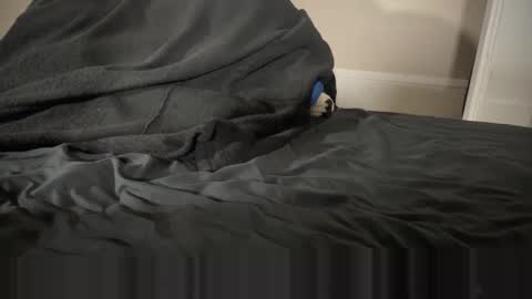 Snapshot of fangofox chatting on January 2026 02:39:01 AM Fango online show from January 2026 02:39:01 AM