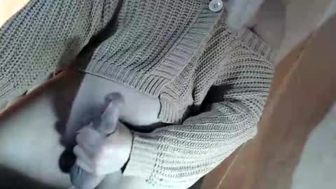 Snapshot of fantasticcock69_daniella chatting on June 2026 12:17:01 PM DANIELLA - DONT FORGET TO GIVE ME A THUMBSU UP online show from June 2026 12:17:01 PM
