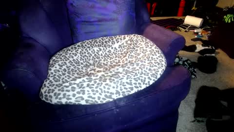 Farrah online show from October 2025 05:16:02 AM