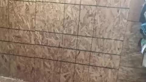 farrisshane1985 online show from April 2026 02:23:02 AM