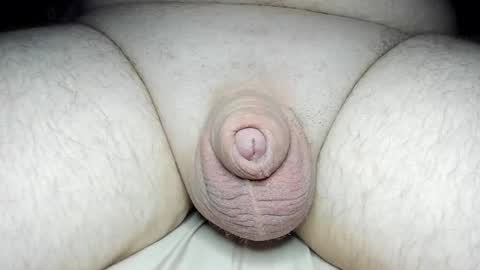 Fatmanscock online show from February 2025 02:34:01 AM