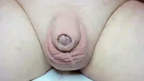 Fatmanscock online show from October 2025 03:34:01 AM