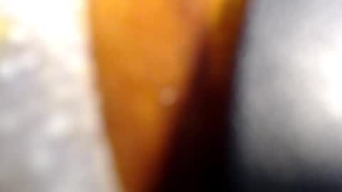 Snapshot of fckyariangel chatting on January 2026 02:46:02 AM fckyariangel online show from January 2026 02:46:02 AM