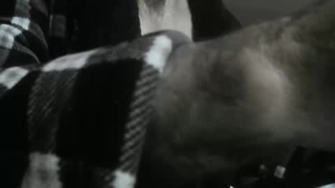 feardubh online show from October 2025 09:43:01 AM