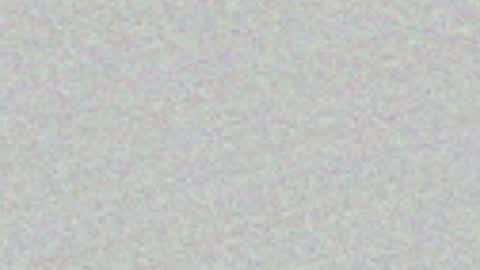 Snapshot of feleenafux42 chatting on May 2026 07:20:01 PM FeleenaFux online show from May 2026 07:20:01 PM