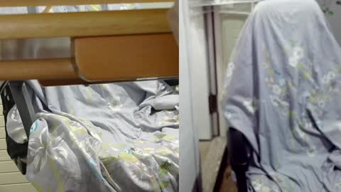 felixlau online show from December 2024 11:50:02 AM