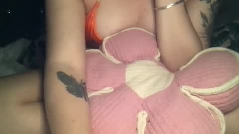     online show from October 2025 05:41:02 AM