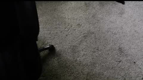 Snapshot of fengshui1982 chatting on November 2025 06:22:02 PM fengshui1982 online show from November 2025 06:22:02 PM