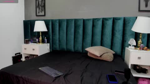 Snapshot of fenix_karoll chatting on January 2025 02:19:01 AM Karol online show from January 2025 02:19:01 AM