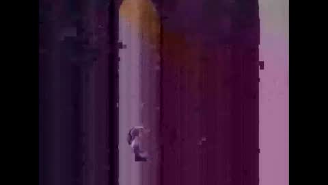 Snapshot of feog197475512 chatting on November 2025 03:30:02 AM feog197475512 online show from November 2025 03:30:02 AM