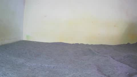 Fern Tlk online show from December 2024 07:17:02 PM