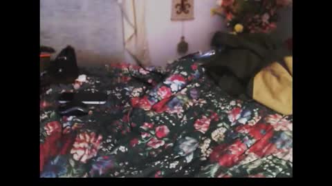 ferra_testarossa online show from March 2026 01:45:01 AM