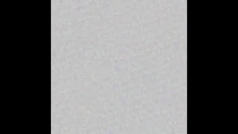 Thomas online show from February 2026 11:50:02 AM