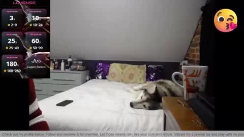 Fionna online show from March 2026 01:17:02 AM