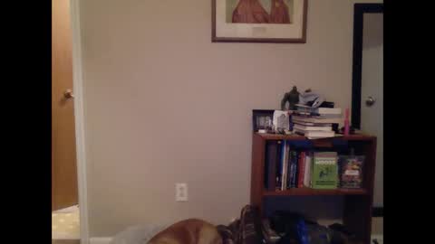 Snapshot of fitbit90 chatting on March 2025 09:46:02 AM FitBit online show from March 2025 09:46:02 AM