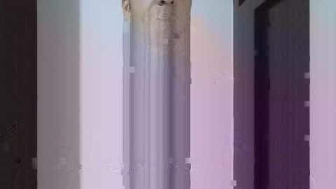 Snapshot of fitchestabs_69 chatting on April 2026 09:43:01 PM fitchestabs_69 online show from April 2026 09:43:01 PM