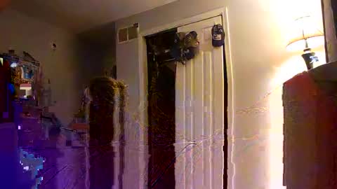 Nate online show from October 2025 06:45:01 AM