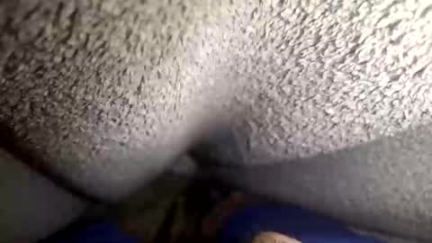 Snapshot of flaash_99 chatting on March 2026 11:28:02 AM flaash_99 online show from March 2026 11:28:02 AM