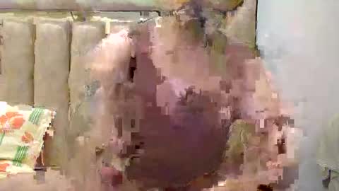 Snapshot of flirtsxxx chatting on April 2026 04:12:01 PM flirtsxxx online show from April 2026 04:12:01 PM